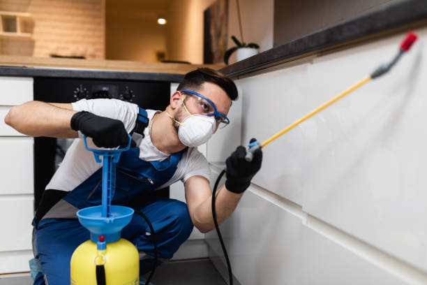 Best Pest Inspection Near Me  in St George, MO