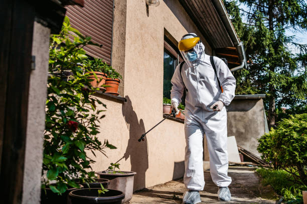 Trusted St George, MO Pest Control Experts