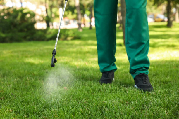 Best Flea Control Services  in St George, MO