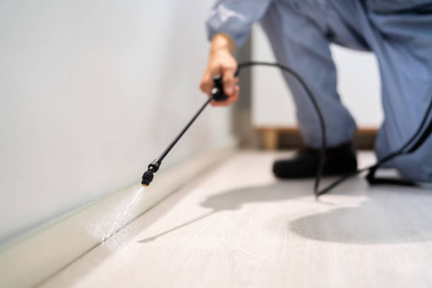 Flea Control Services in St George, MO