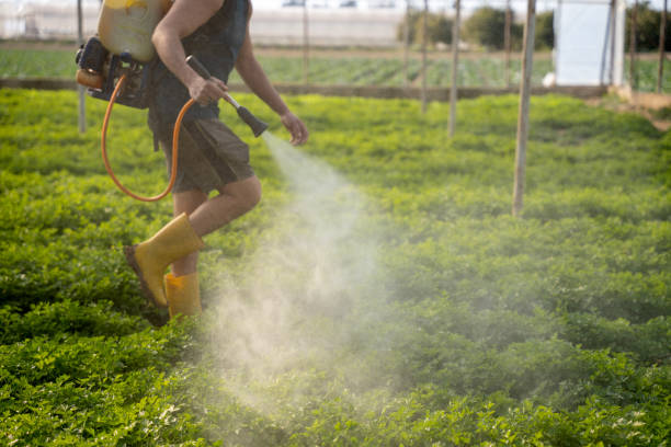 Best Local Pest Control Services  in St George, MO