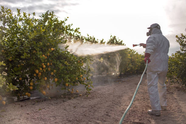 Best Affordable Pest Control Services  in St George, MO