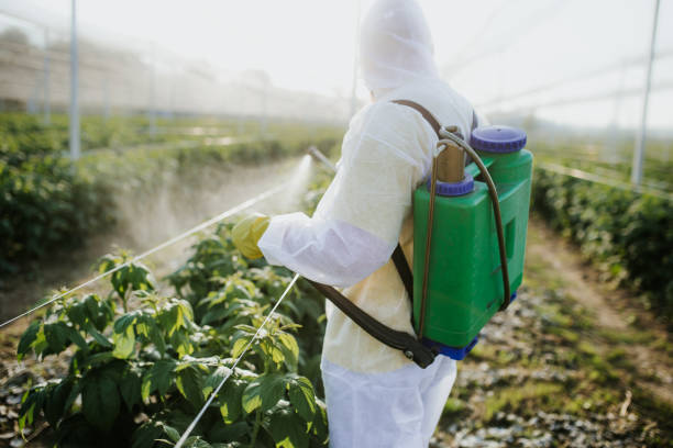 Best Bed Bug Extermination  in St George, MO